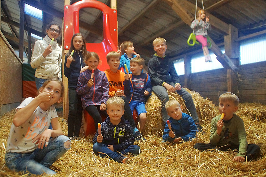 Foto aus der Fotogruppe 