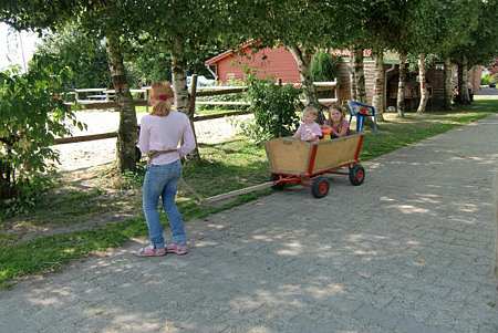 Foto aus der Fotogruppe 