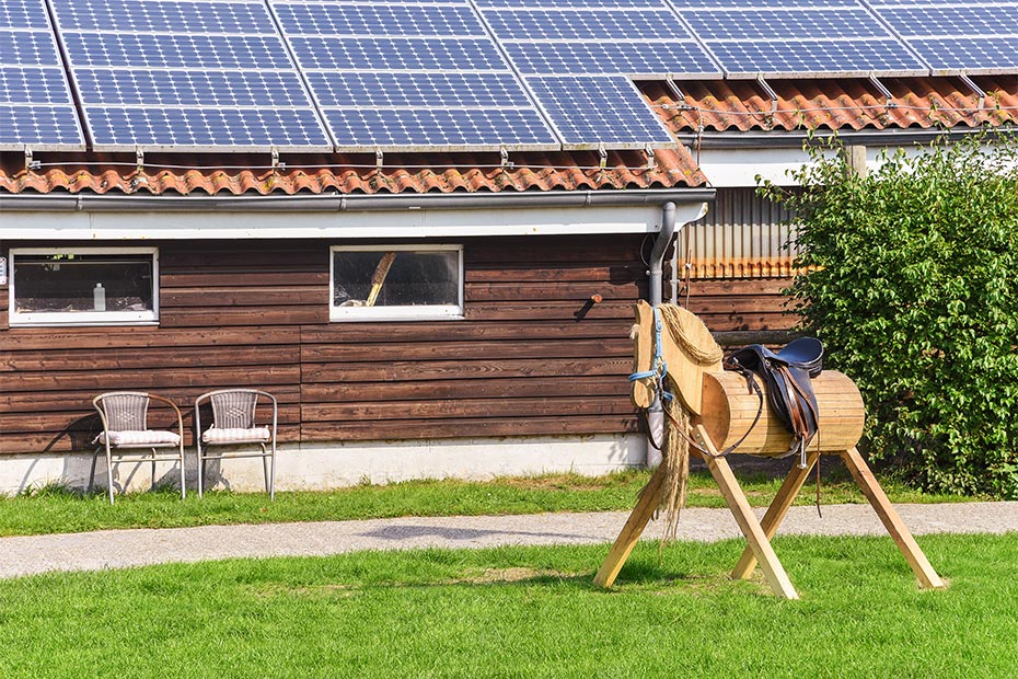 Foto aus der Fotogruppe 